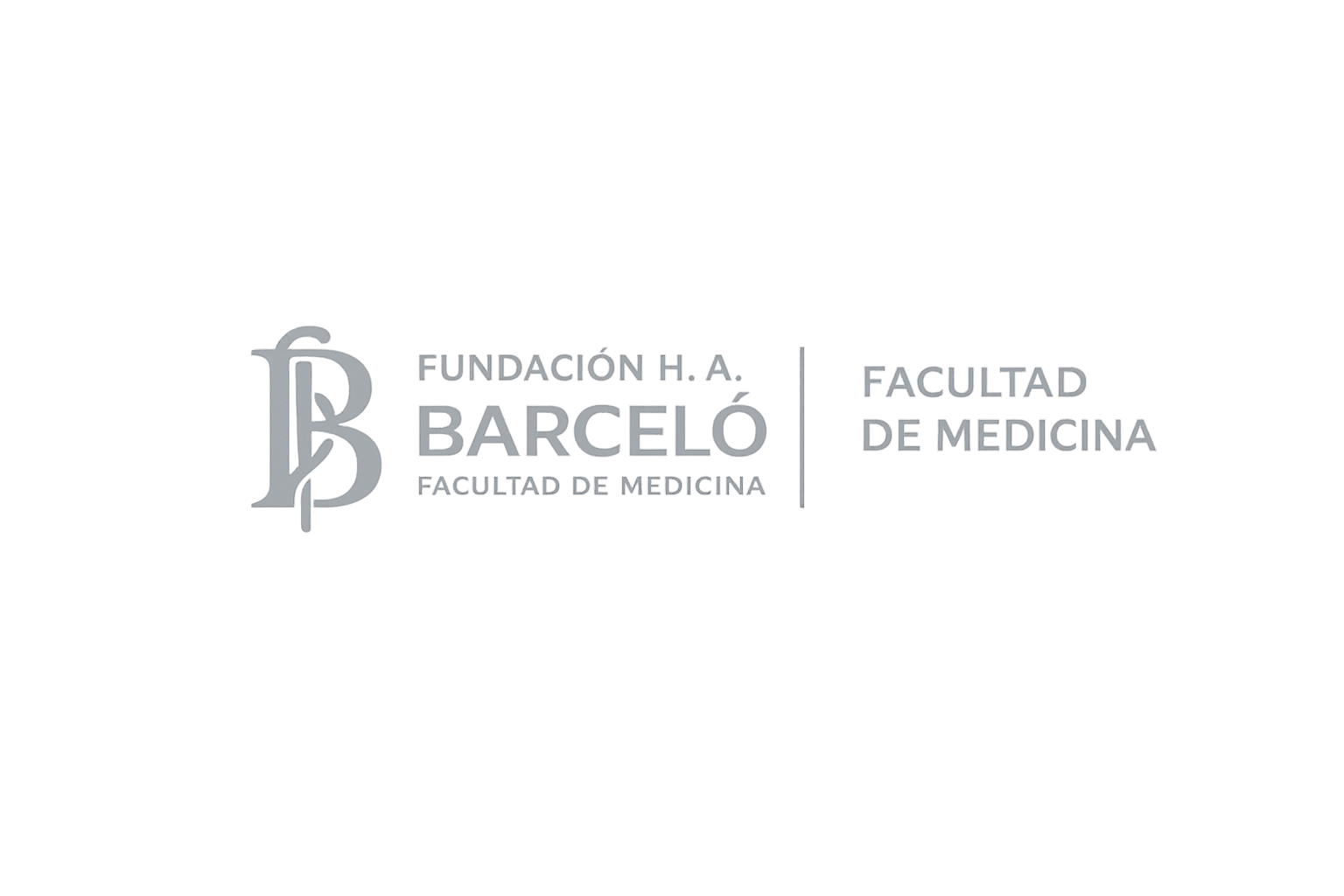 Fundacion Barcelo